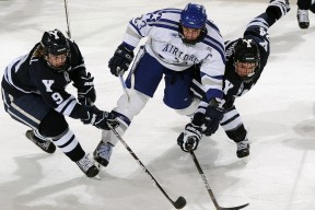 开云体育官方网站-布伦森节奏完全掌控，灰熊打穿尼克斯，一场关于时间的战术解剖