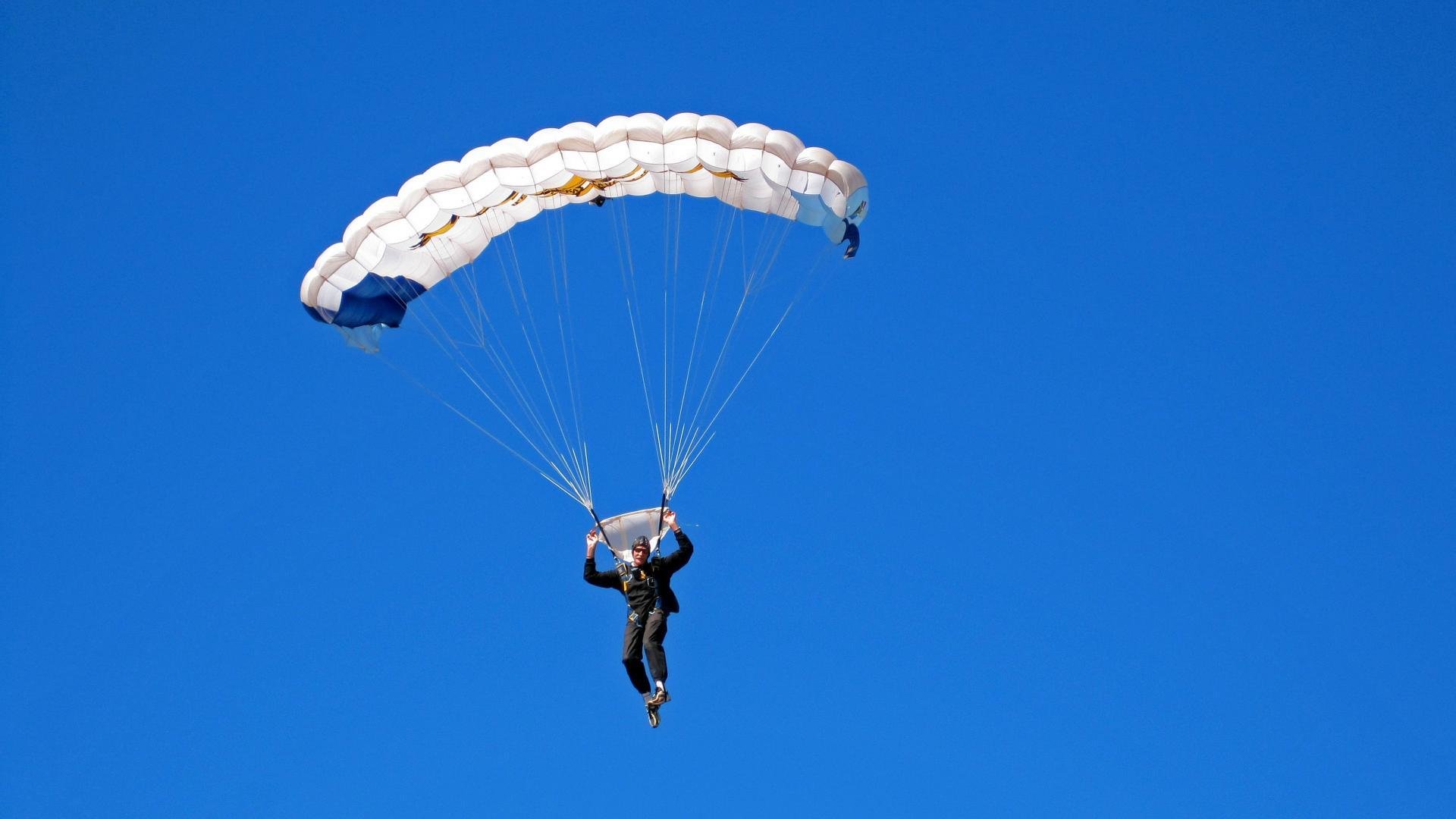 范弗利特指挥若定黄蜂蛰伤雄鹿,战术压制背后的完美风暴