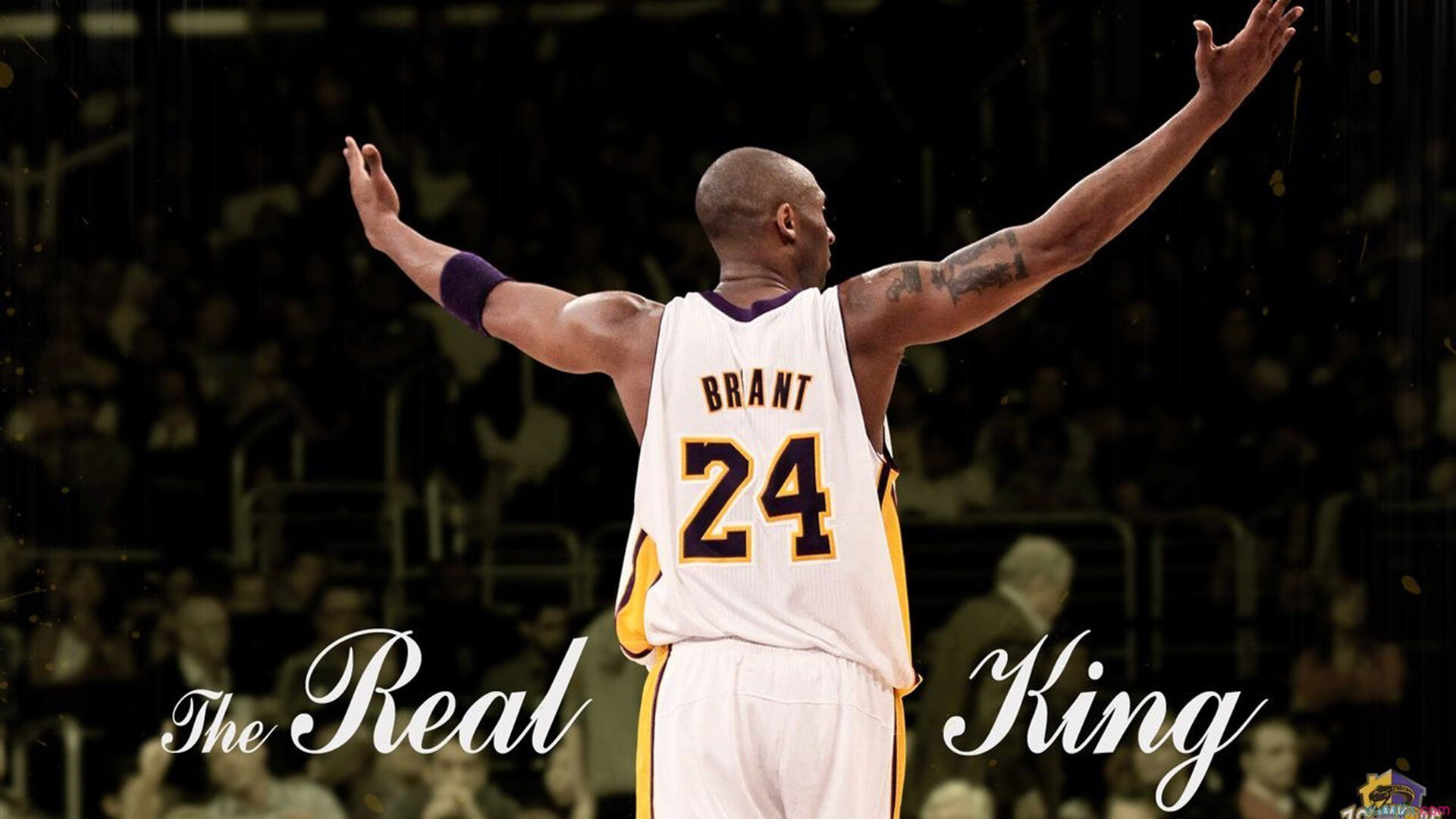 鹈鹕单节拉开骑士,米切尔在焦点战证明自己